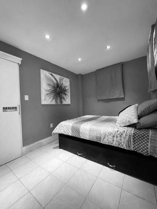 Apartament Departamento Centro Historico De Tampico Zewnętrze zdjęcie