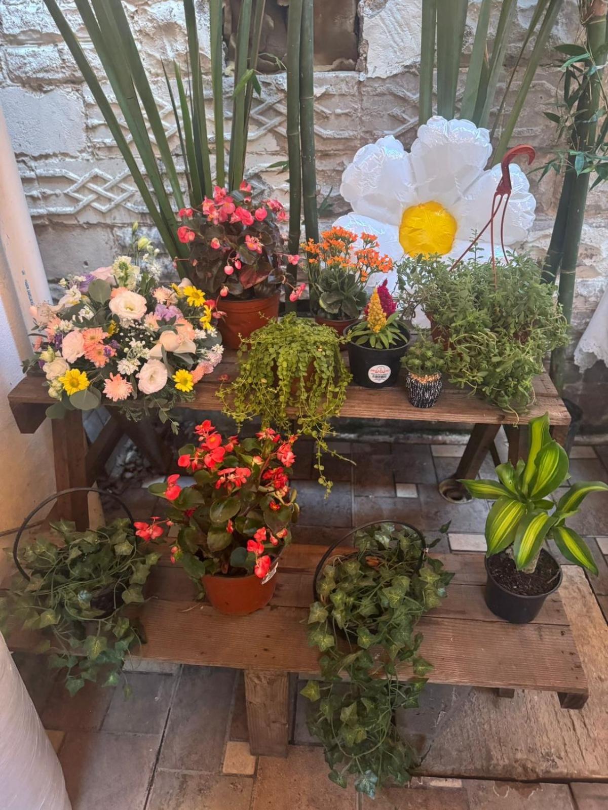 Apartament Departamento Centro Historico De Tampico Zewnętrze zdjęcie